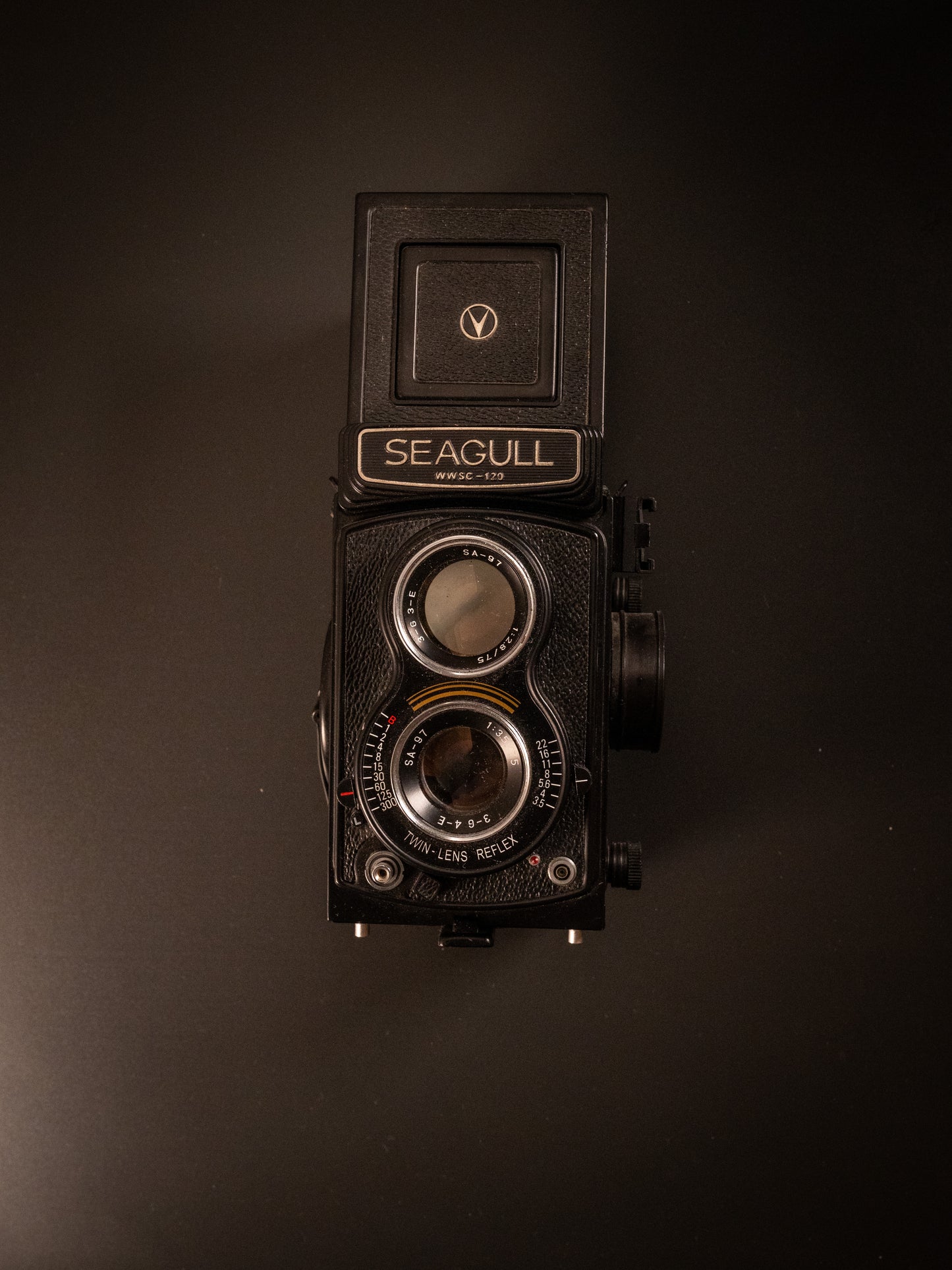 Seagull 4A TLR 6x6 Medium Format Camera