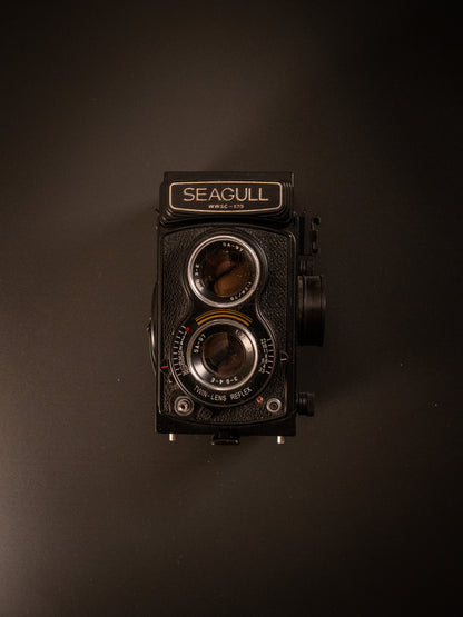 Seagull 4A TLR 6x6 Medium Format Camera